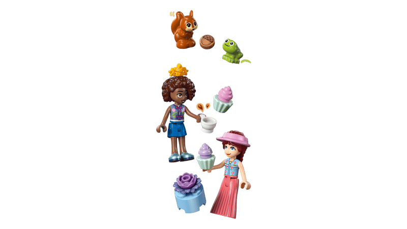 Friends - Forest Tea Party (42690) - Toot Toot Toys