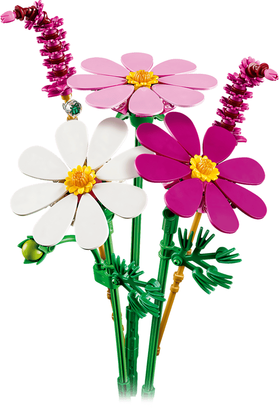 Botanical Collection - Cosmos Flowers (11514)