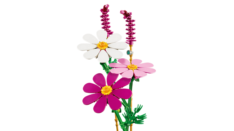 Botanical Collection - Cosmos Flowers (11514)