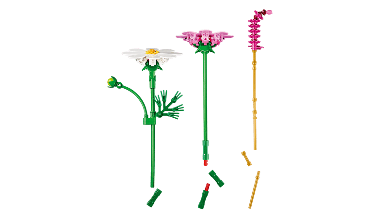 Botanical Collection - Cosmos Flowers (11514)