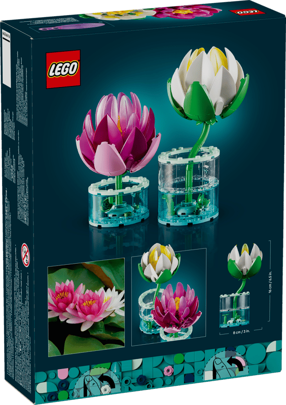 Botanical Collection - Water Lilies (11511)
