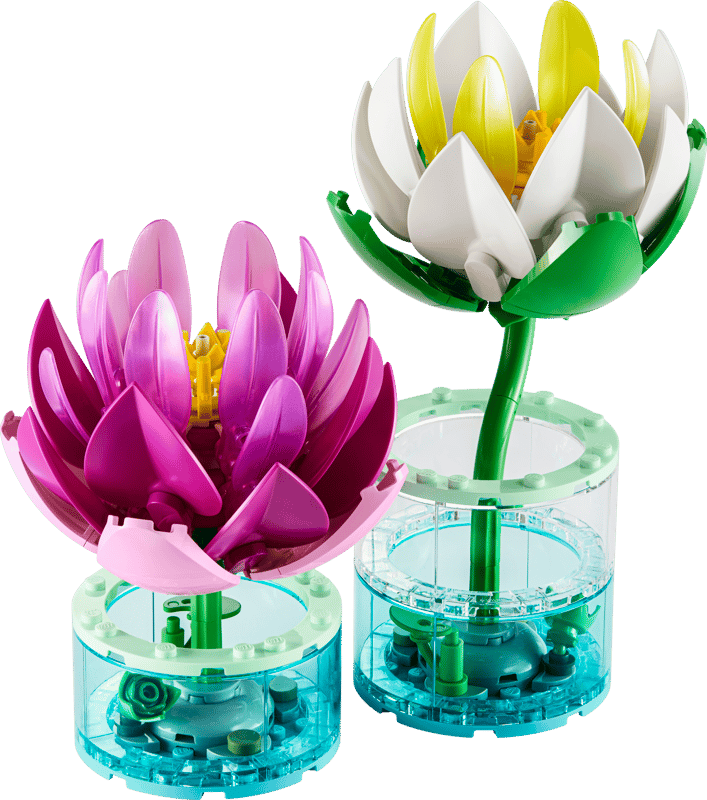 Botanical Collection - Water Lilies (11511)