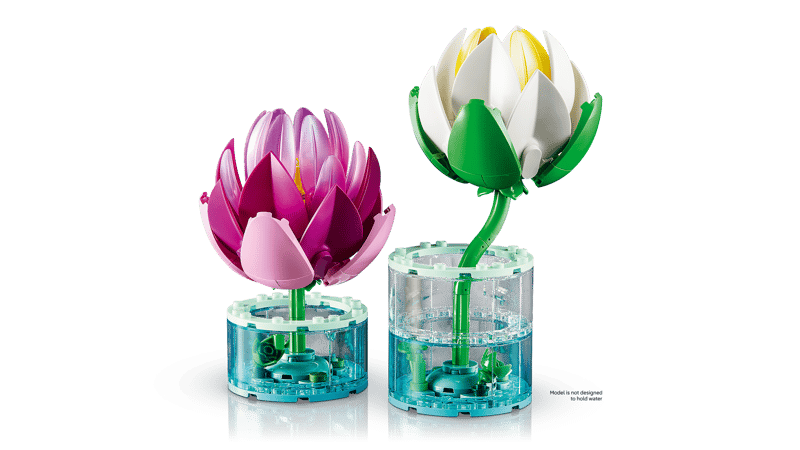 Botanical Collection - Water Lilies (11511)