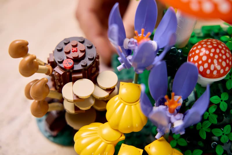 Botanical Collection - Woodland Mushrooms (11505)