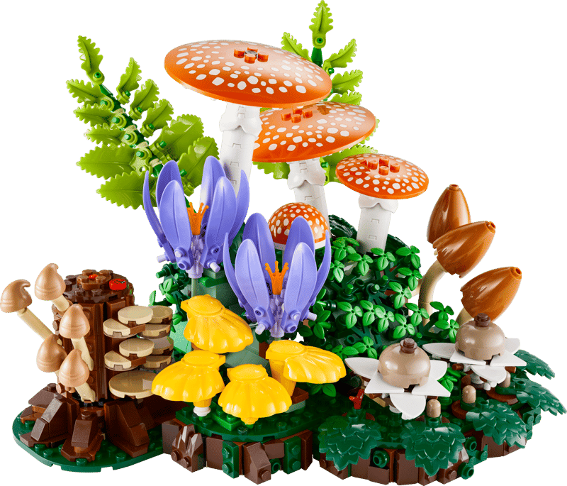 Botanical Collection - Woodland Mushrooms (11505)