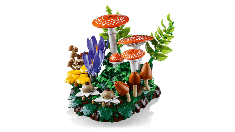 Botanical Collection - Woodland Mushrooms (11505)