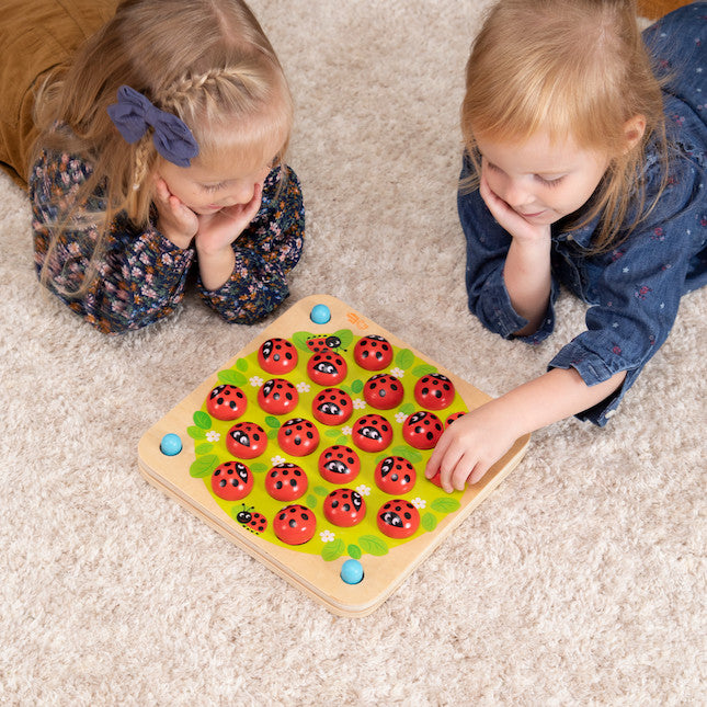 Ladybug's Garden Memory Game