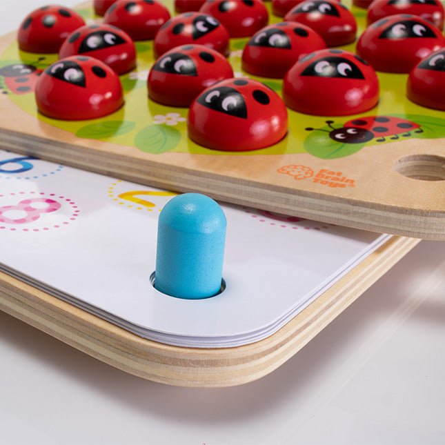 Ladybug's Garden Memory Game