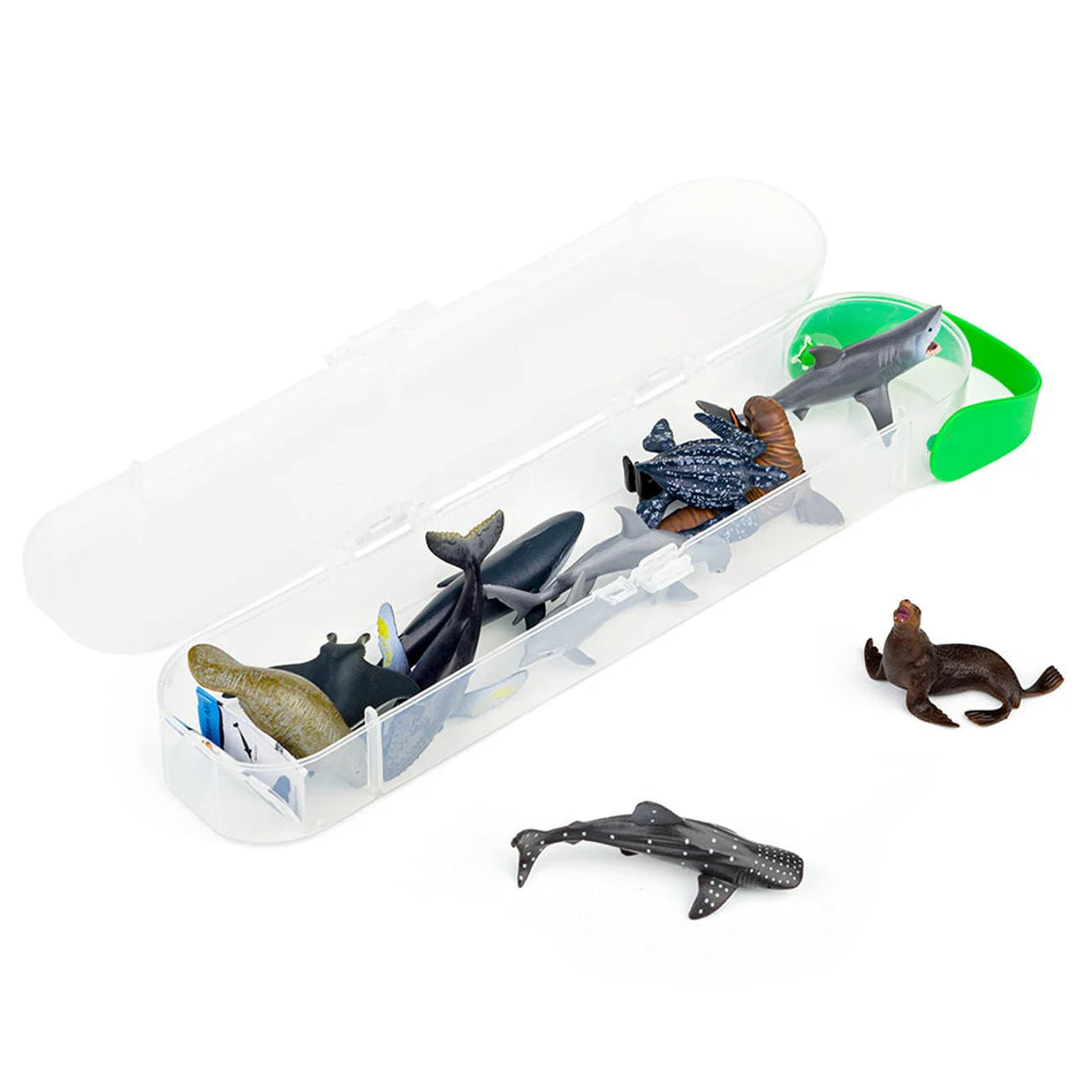 Box of Mini Marine Animals - Set A (A1107)