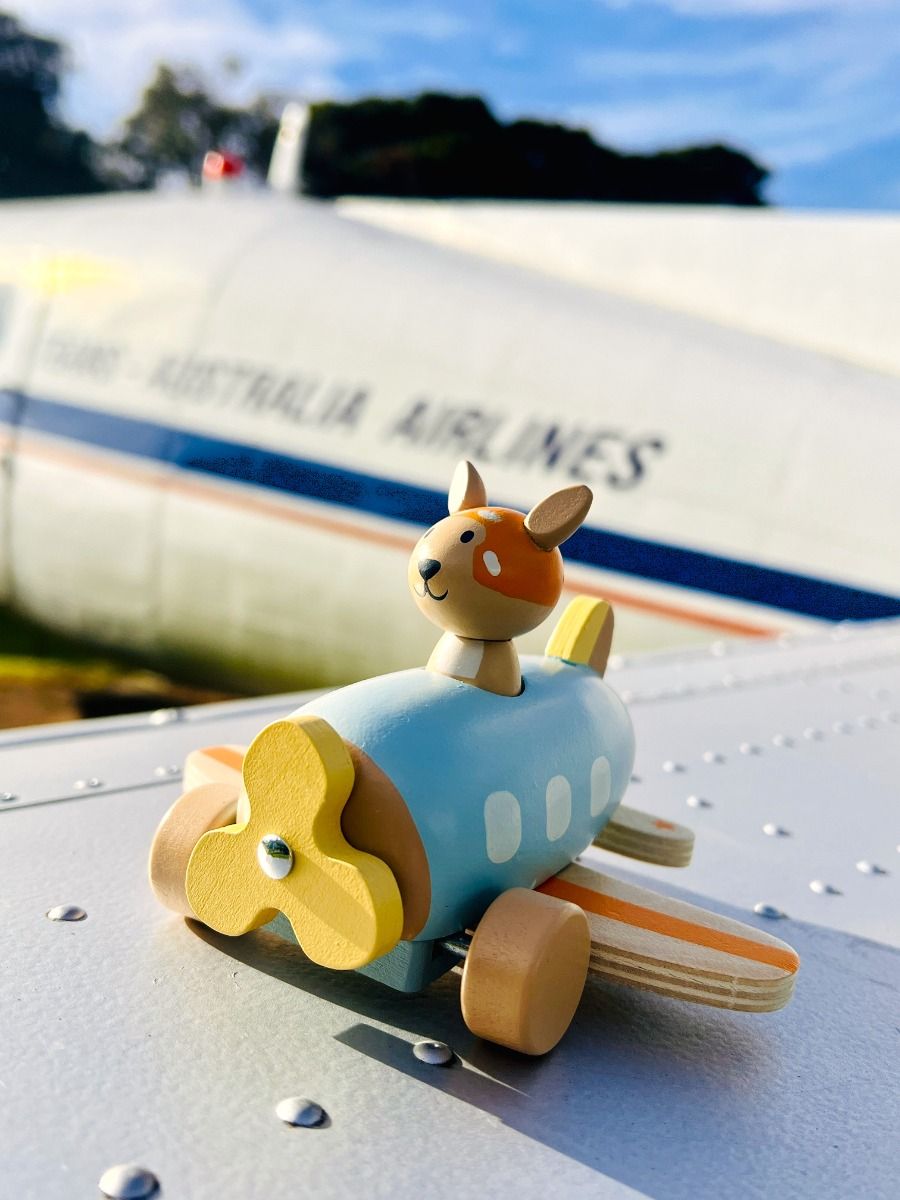 Wooden Kangaroo Airplane