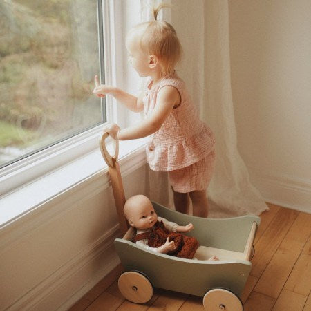 Pull Wagon