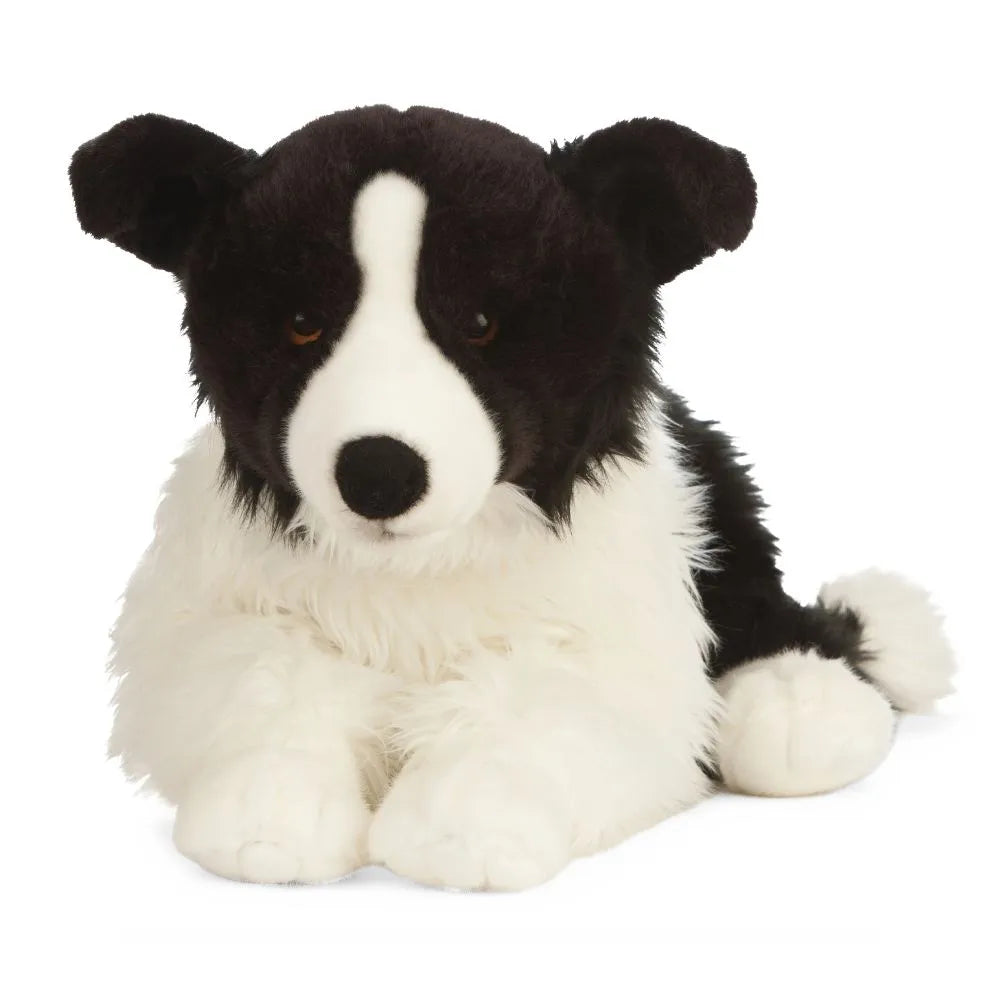 Giant Border Collie