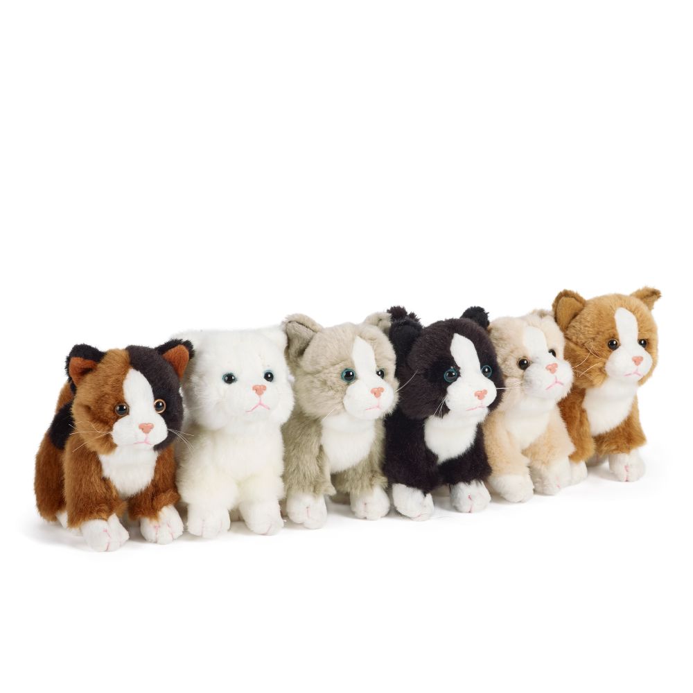 Cat (Small)
