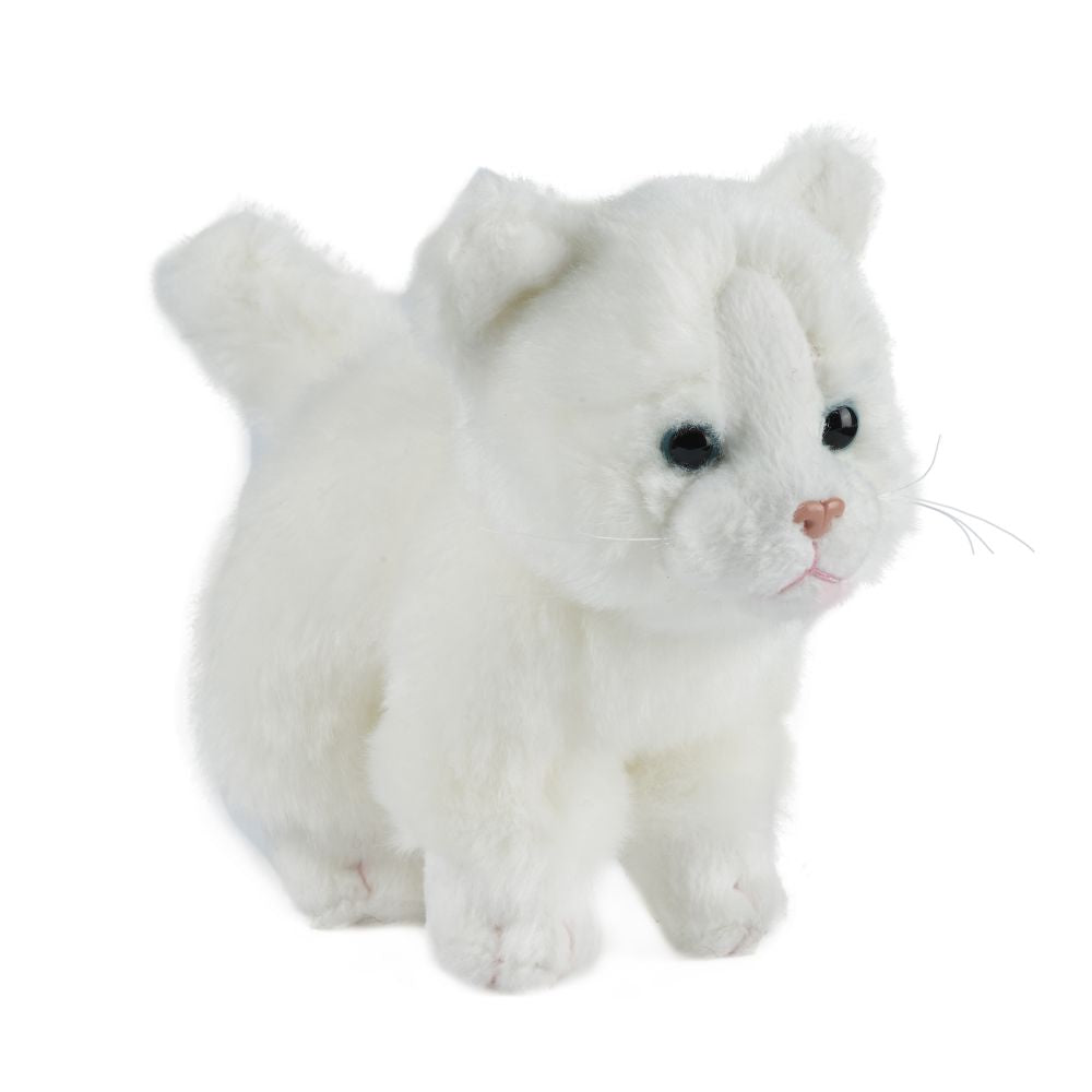 Cat (Small)
