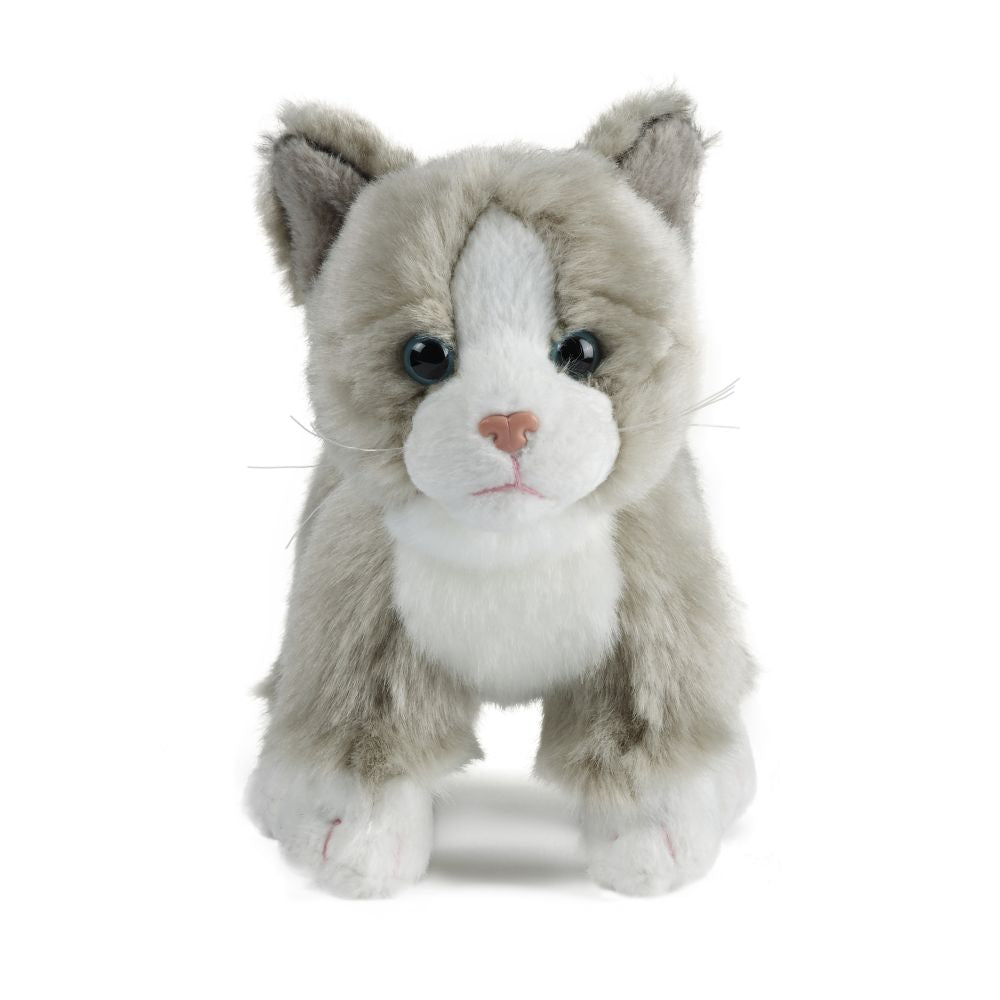 Cat (Small)