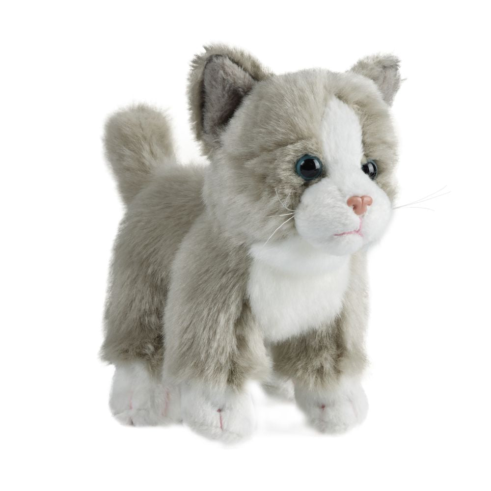 Cat (Small)