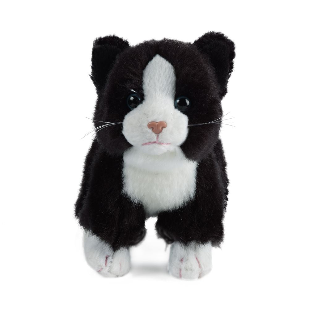 Cat (Small)