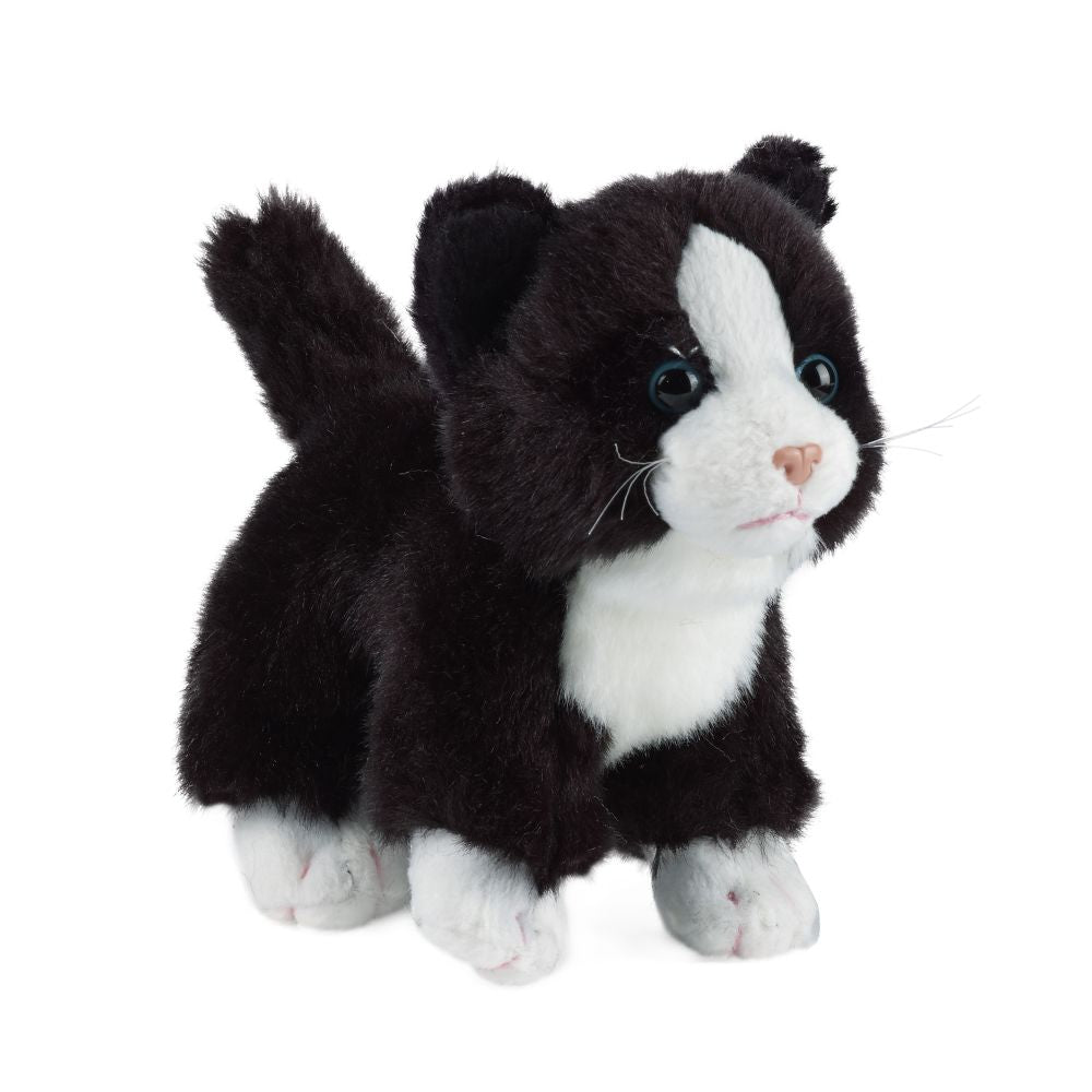 Cat (Small)
