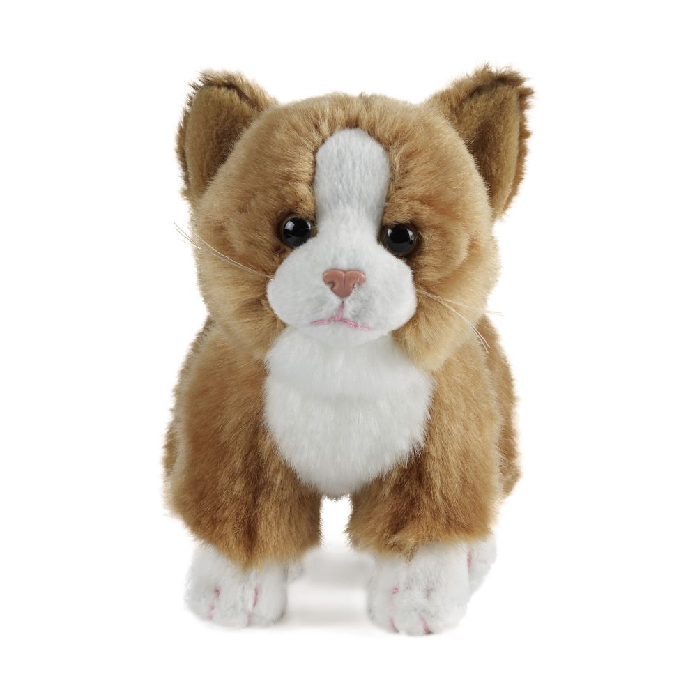 Cat (Small)