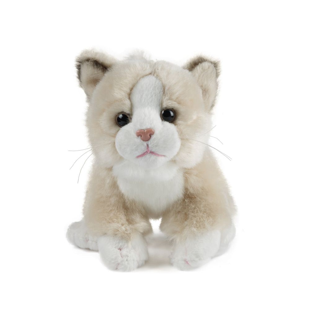 Cat (Small)