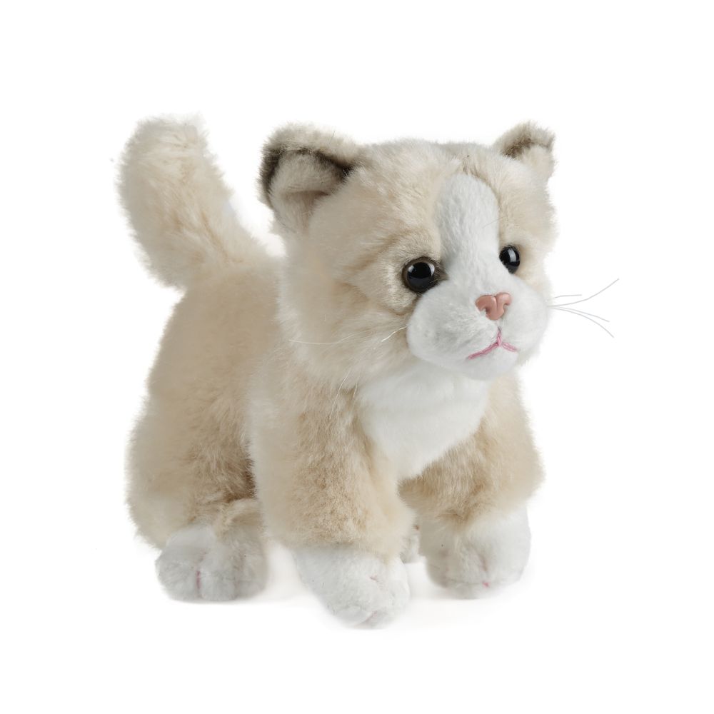 Cat (Small)