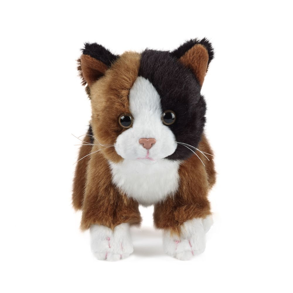Cat (Small)