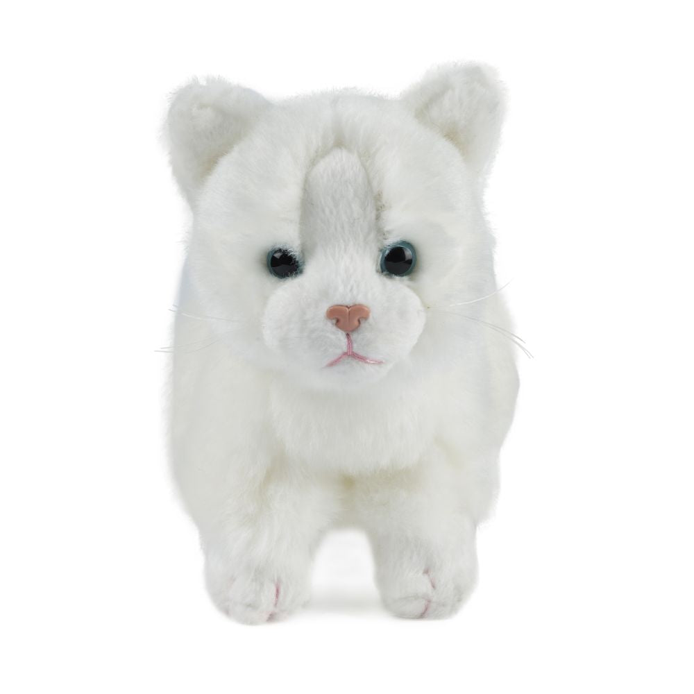 Cat (Small)