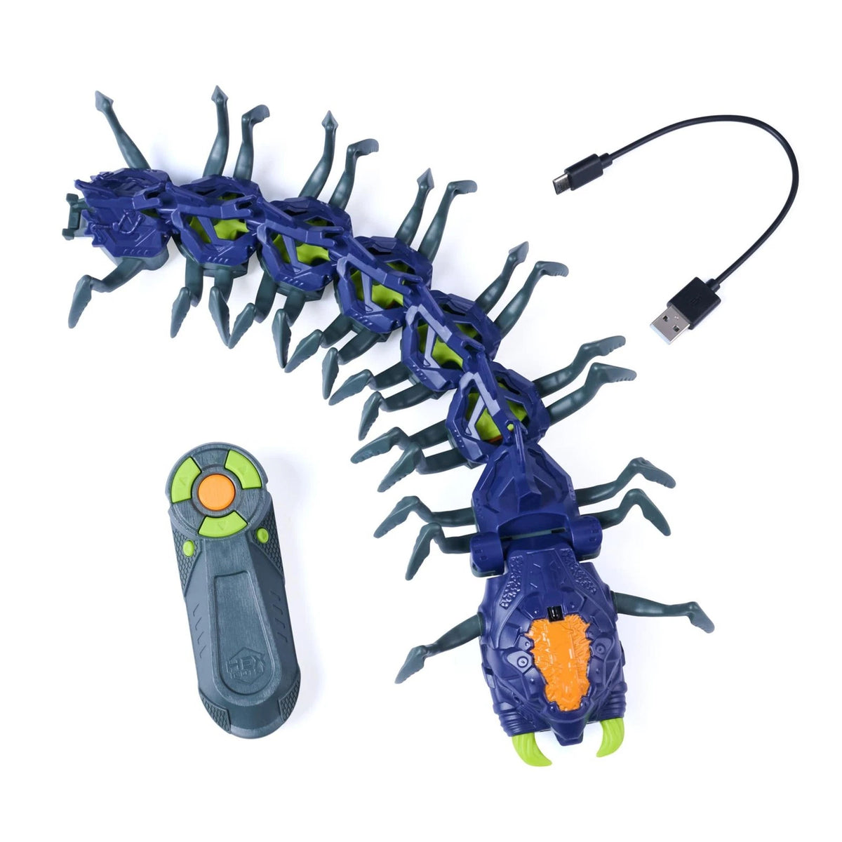 Radio Control Exploring Centipede