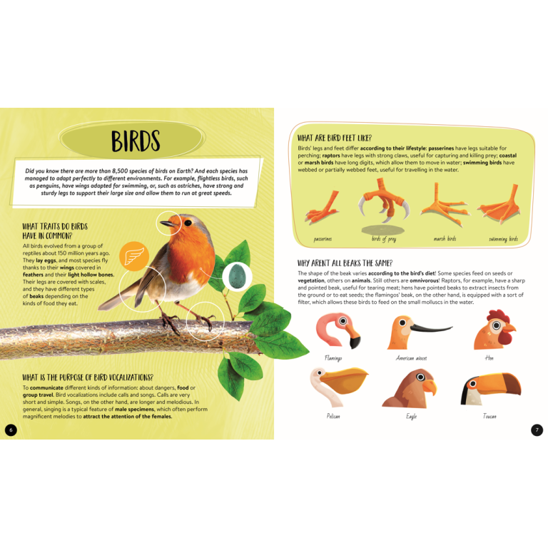 The Ultimate Atlas and Puzzle Set - Animals
