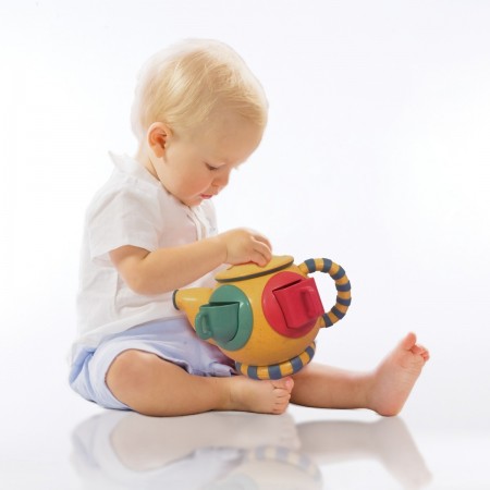 Bio Teatime Shape Sorter