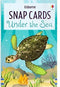 Under the Sea Snap