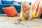 Ravensburger - Thomas & Friends 4 Large Shaped Puzzles