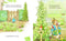 The Tale of Peter Rabbit - Picture Book