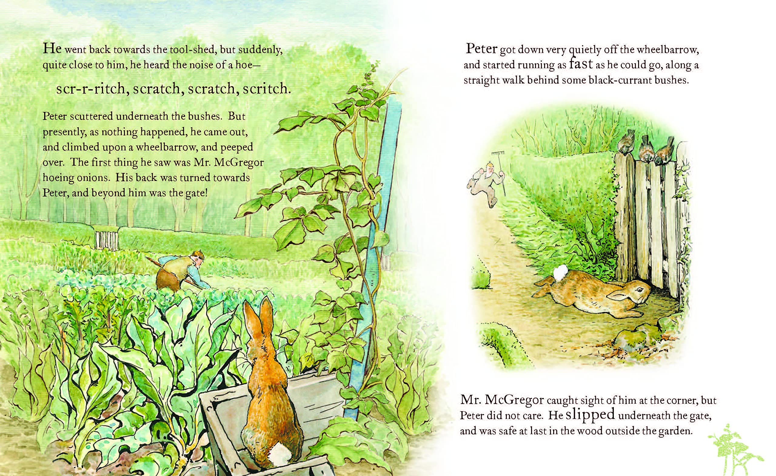 The Tale of Peter Rabbit - Picture Book