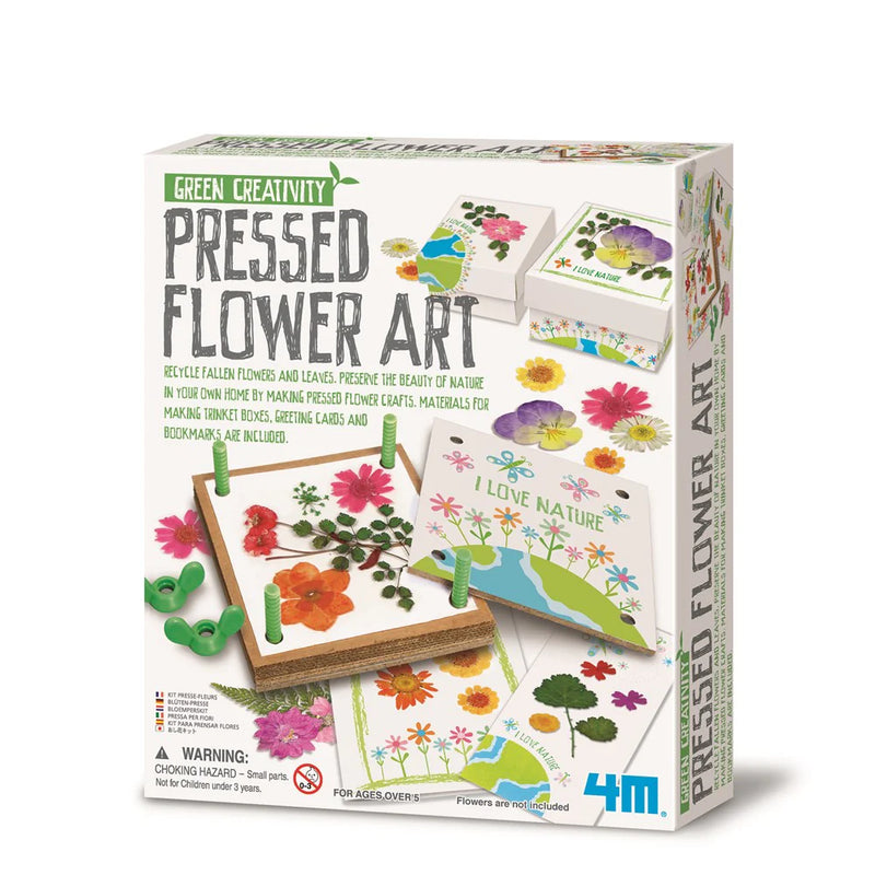 4M - Green Creativity - Pressed Flower Art