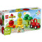 LEGO® DUPLO - Fruit and Vegetable Tractor (10982)