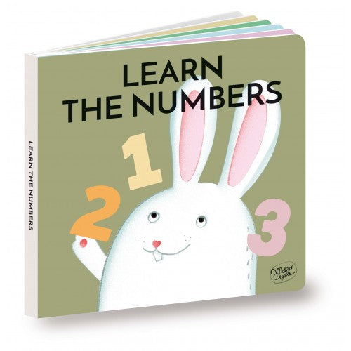 Wooden Sorting Box and Book - Numbers