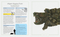 The Illustrated Encyclopaedia of Dangerous Animals