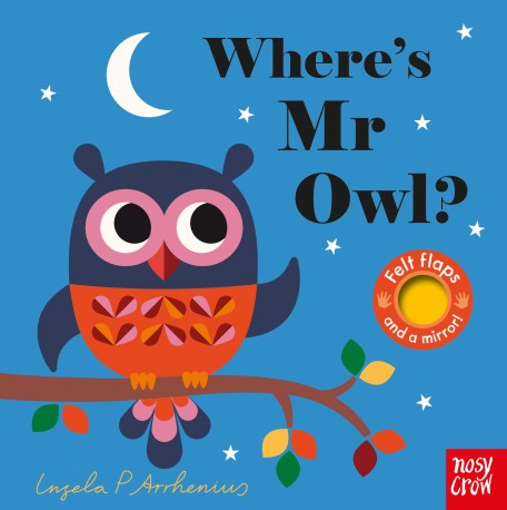 Felt Flaps - Where's Mr Owl?