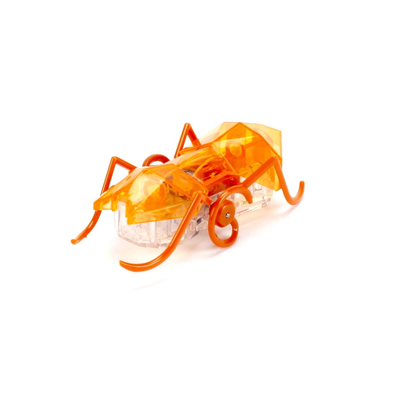 Micro Ant