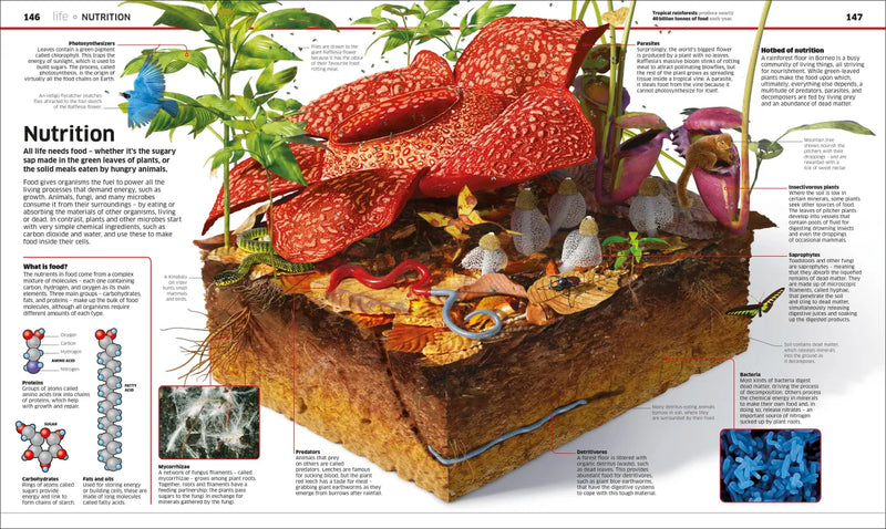 Knowledge Encyclopedia: Science!