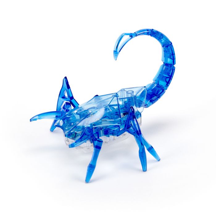 Scorpion