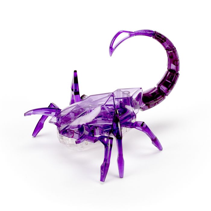 Scorpion
